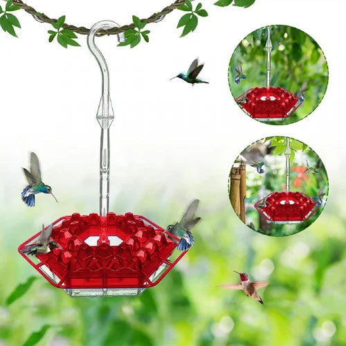 VogelFlair — Verwandelt Deinen Garten in ein magisches Paradies voller tanzender Kolibris ohne Plagegeister