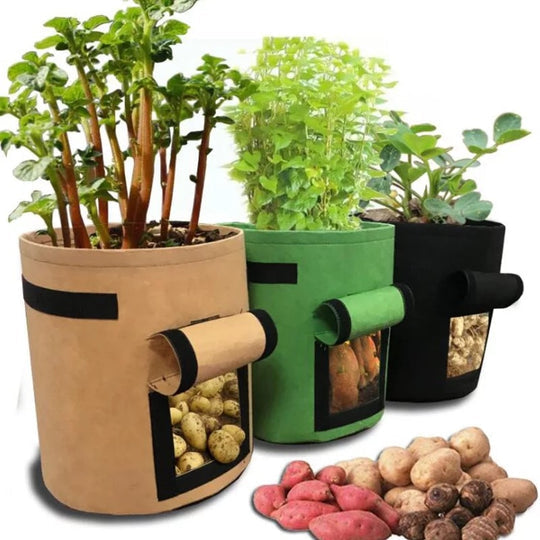 GrowMaster Pro — Mehr Power für deine Pflanzen, damit deine Ernte alle staunen lässt!