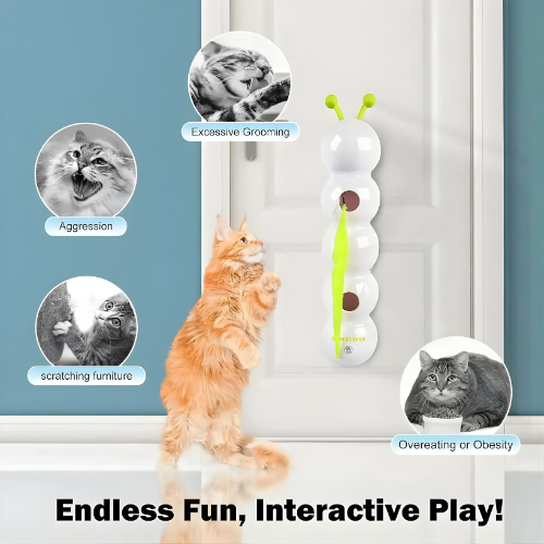 FangFrenzy — Entfessle den wilden Jäger in deiner Katze und sag Langeweile Lebewohl!