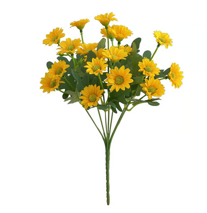 AutumnBlaze — Dein sorgenfreier Gartenhit mit Farben, die jeden Herbst verzaubern!