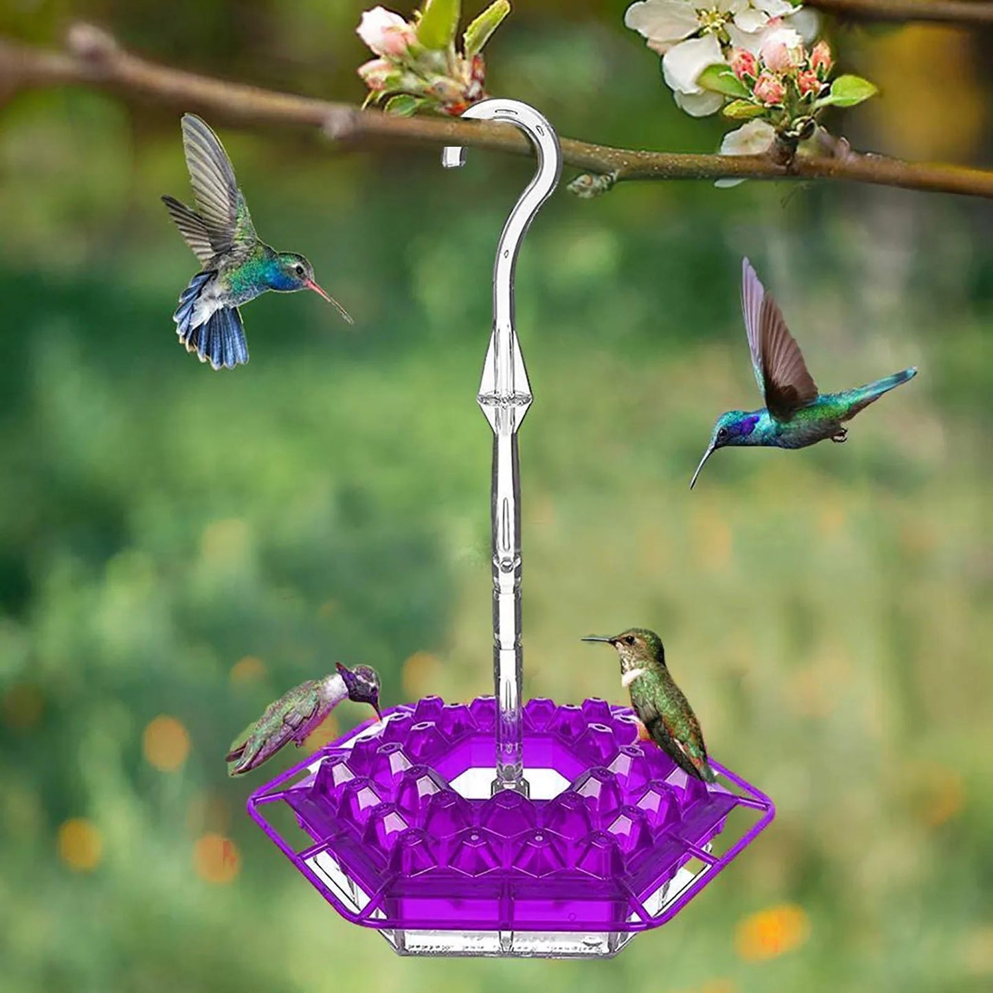 VogelFlair — Verwandelt Deinen Garten in ein magisches Paradies voller tanzender Kolibris ohne Plagegeister