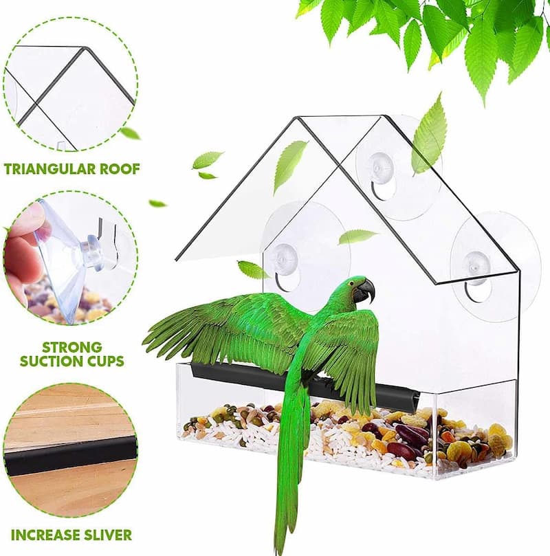 WildVida — Erlebe pure Naturmagie und finde deine tägliche Ruheoase am Fenster