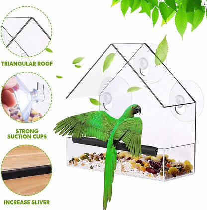 WildVida — Erlebe pure Naturmagie und finde deine tägliche Ruheoase am Fenster