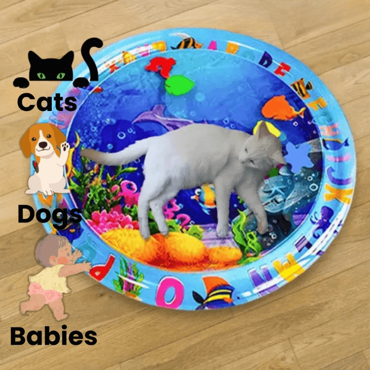 FelineSplash — Entfessle die wilde Jagdfreude deiner Katze ohne Chaos und Stress!