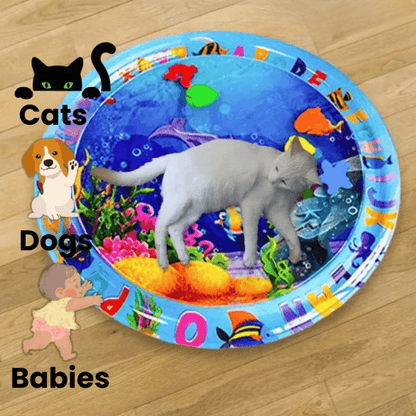 FelineSplash — Entfessle die wilde Jagdfreude deiner Katze ohne Chaos und Stress!