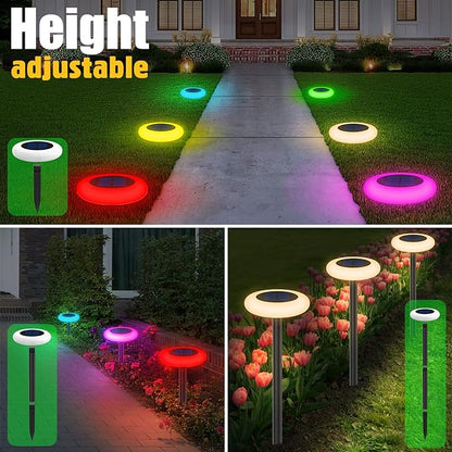 SolaraDazzle — Verwandle Deinen Garten in ein magisches Farbfeuerwerk, das alle Blicke fesselt!
