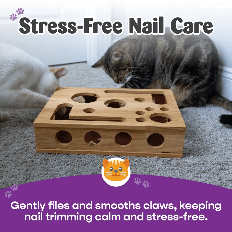 KralleSpaß — Verwandle Nagelpflege in stressfreies Katzenspiel und schütze liebevoll Deine Möbel!