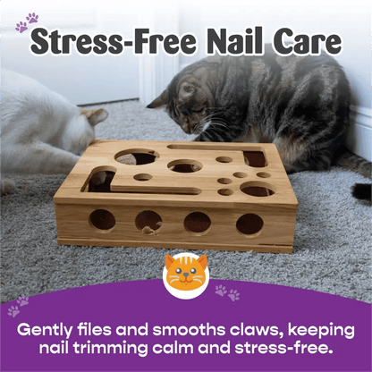 KralleSpaß — Verwandle Nagelpflege in stressfreies Katzenspiel und schütze liebevoll Deine Möbel!
