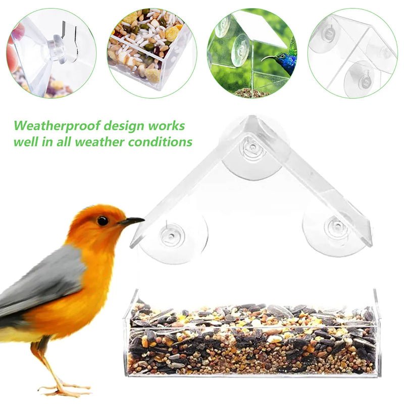 WildVida — Erlebe pure Naturmagie und finde deine tägliche Ruheoase am Fenster