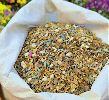 BlütenPracht™ — Ganzjährig farbenfrohes Gartenparadies