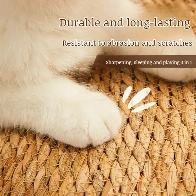 KrazeLuxe Matte — Endlich Ruhe vor Kratzchaos und das Lieblingsplätzchen für deine Katze