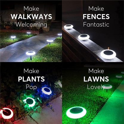 SolaraDazzle — Verwandle Deinen Garten in ein magisches Farbfeuerwerk, das alle Blicke fesselt!