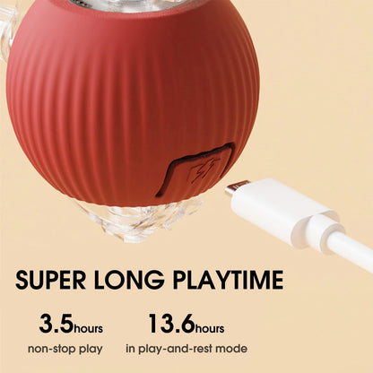 KickPaw Ball — Entfessele die pure Spielfreude und Power deines Lieblings nonstop! (2 Stück)