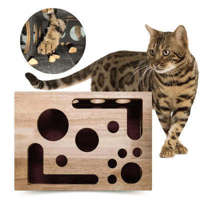 KralleSpaß — Verwandle Nagelpflege in stressfreies Katzenspiel und schütze liebevoll Deine Möbel!