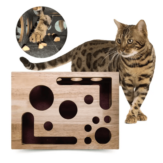 KralleSpaß — Verwandle Nagelpflege in stressfreies Katzenspiel und schütze liebevoll Deine Möbel!