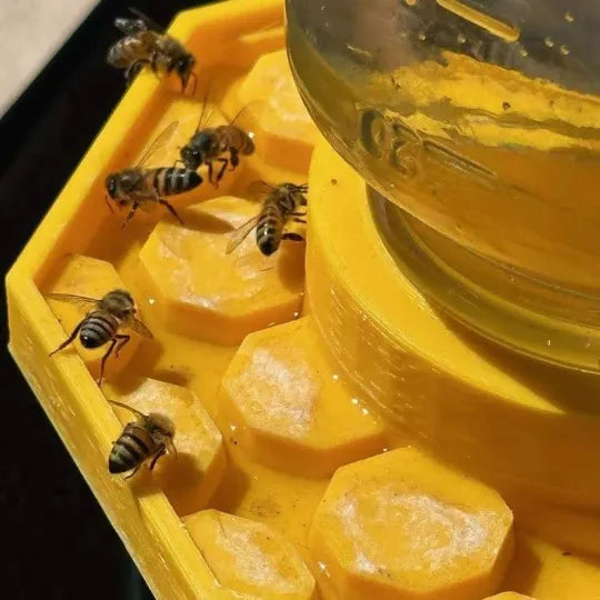 BeeSafeWell — Macht deinen Garten zur sicheren Trink-Oase, die Bienen lebendig hält!