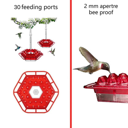 KolibriKracher — Zaubere ein lebendiges Vogelparadies direkt in Deinen Garten!