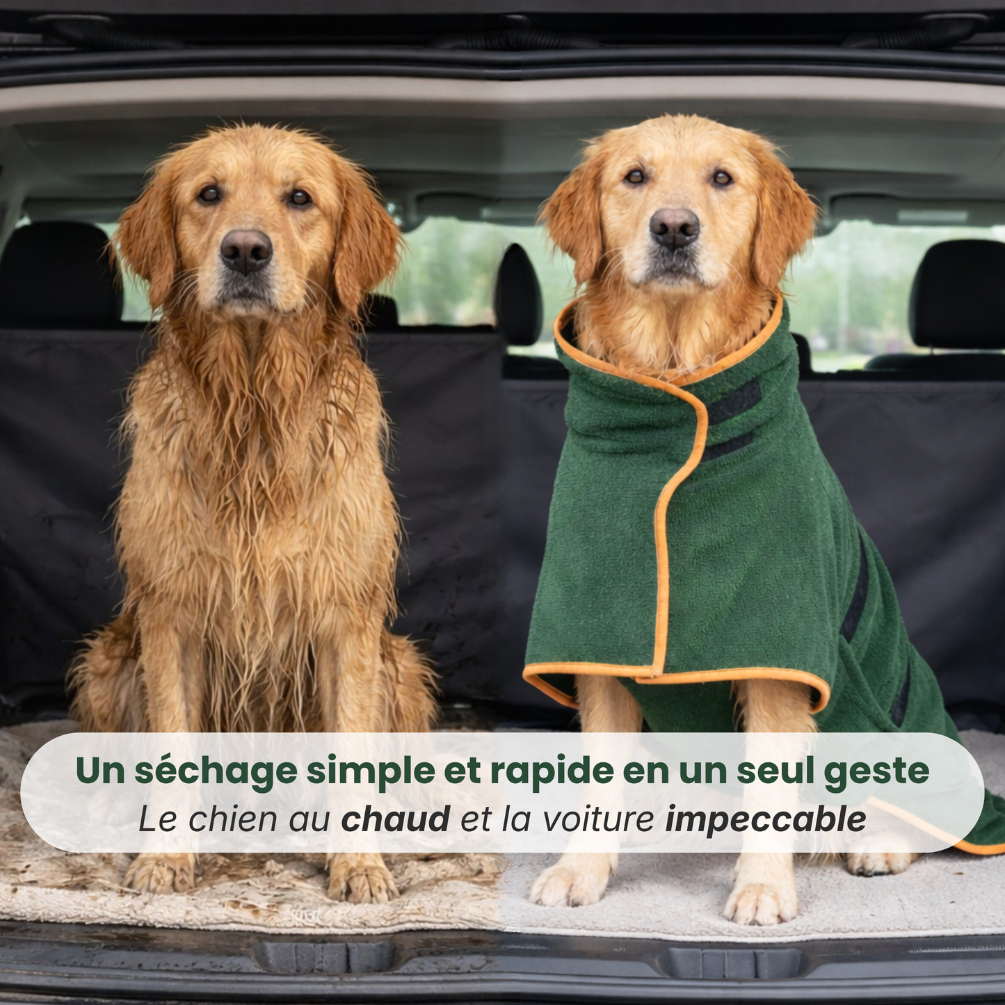 DryBreeze — Mach Schluss mit klatschnassen Hunden und kuschligem Trocken-Glück!