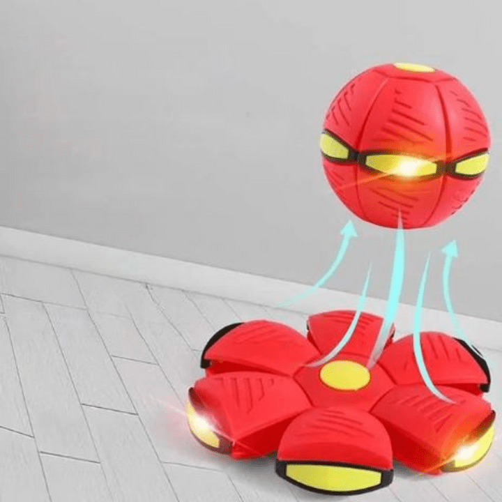 Rasante FidoJagdlet — Entfache pure Spielfreude und Power in jedem Hundeblick!