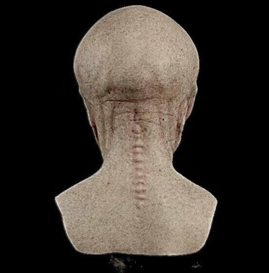 CosmoMorph — Verwandle dich in die ultimative Alien-Ikone, die jede Party beherrscht!