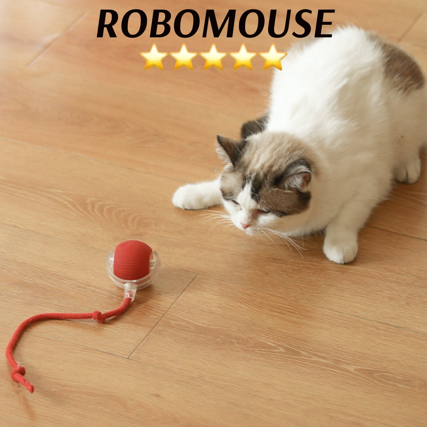 FLAIRFURY — Entfache den Spieltrieb, der dein Haustier nie mehr loslässt!