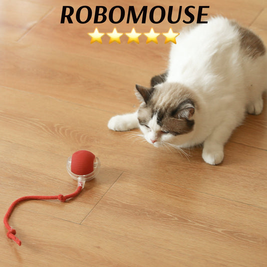 FLAIRFURY — Entfache den Spieltrieb, der dein Haustier nie mehr loslässt!