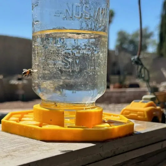 BeeZest — Verwandle deinen Garten in eine lebendige Rettungsinsel für Bienenleben!