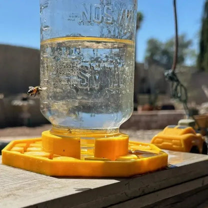BeeZest — Verwandle deinen Garten in eine lebendige Rettungsinsel für Bienenleben!