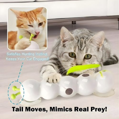 FangFrenzy — Entfessle den wilden Jäger in deiner Katze und sag Langeweile Lebewohl!