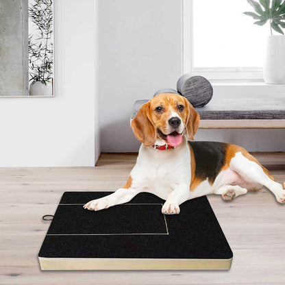 Krallen-Kraftpaket für Hunde — Stressfrei & spielerisch zu gepflegten Pfoten in Rekordzeit!