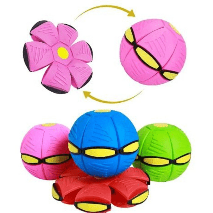 Rasante FidoJagdlet — Entfache pure Spielfreude und Power in jedem Hundeblick!