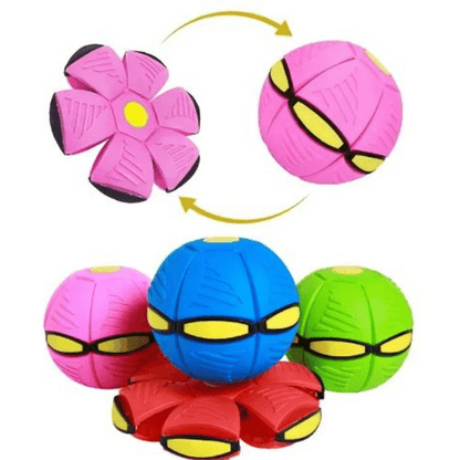 Rasante FidoJagdlet — Entfache pure Spielfreude und Power in jedem Hundeblick!