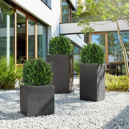 VivaCedar — Bring dauerhaft lebendige Frische und Style in Deinen Raum – ganz ohne Aufwand!