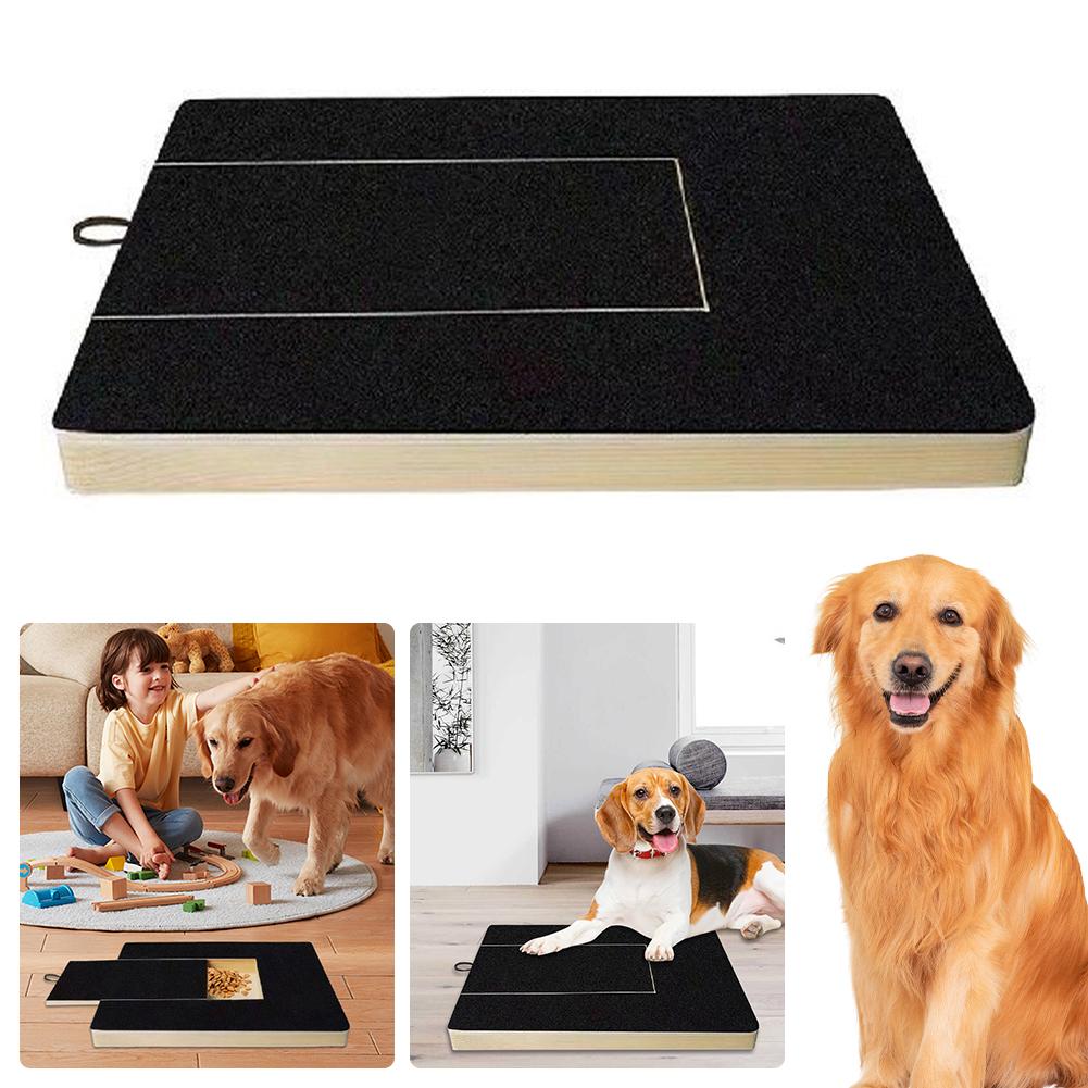 Krallen-Kraftpaket für Hunde — Stressfrei & spielerisch zu gepflegten Pfoten in Rekordzeit!