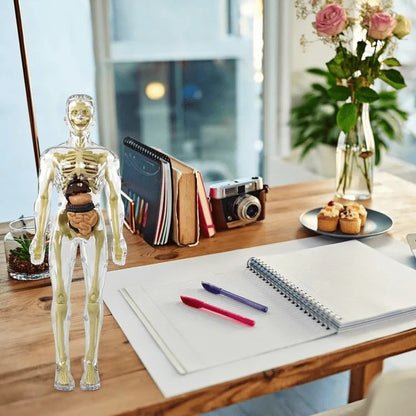 FlexiAnatomy — Entdecke den Körper in 3D und lerne so, dass du es nie wieder vergisst!