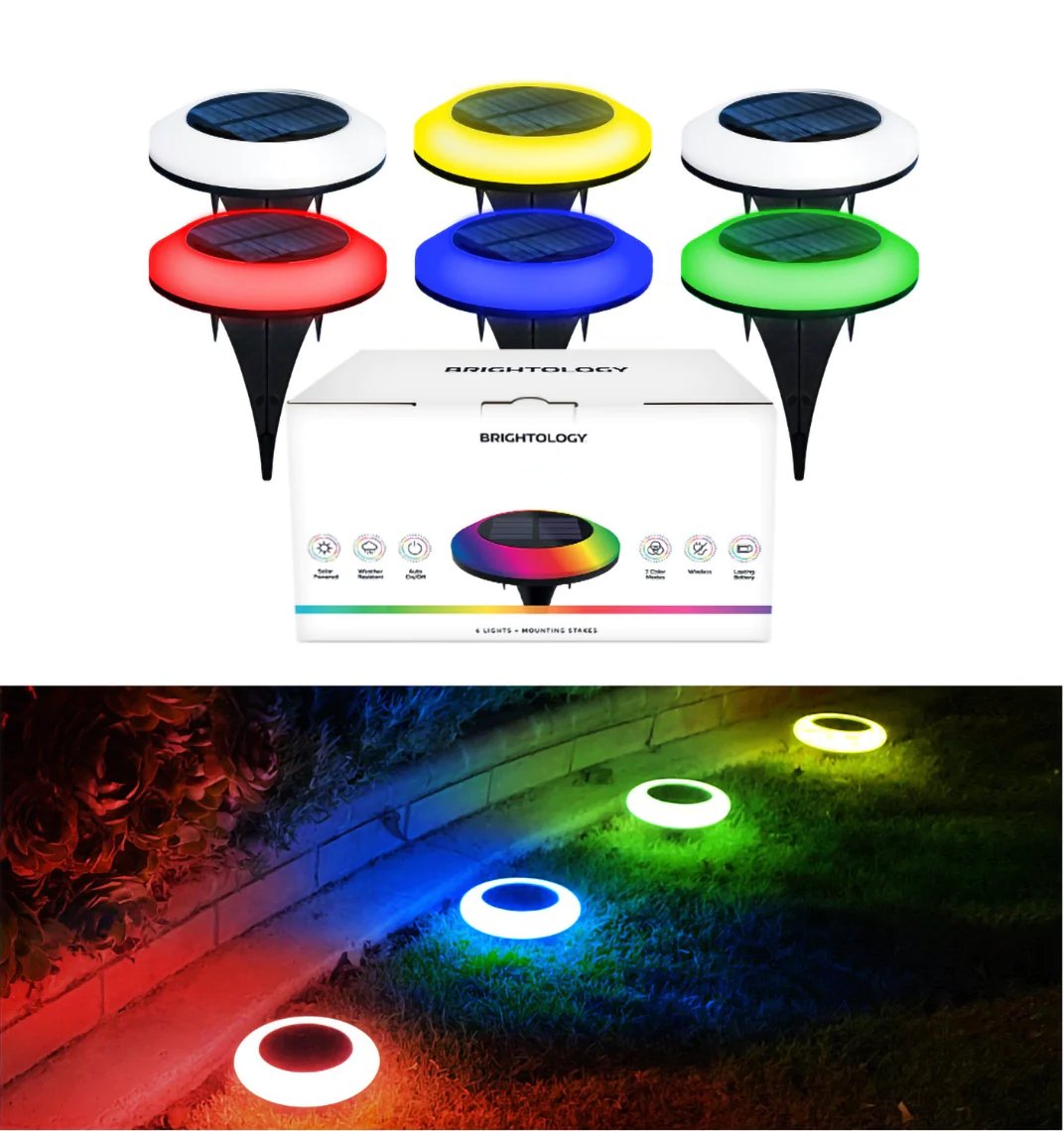 SolaraDazzle — Verwandle Deinen Garten in ein magisches Farbfeuerwerk, das alle Blicke fesselt!
