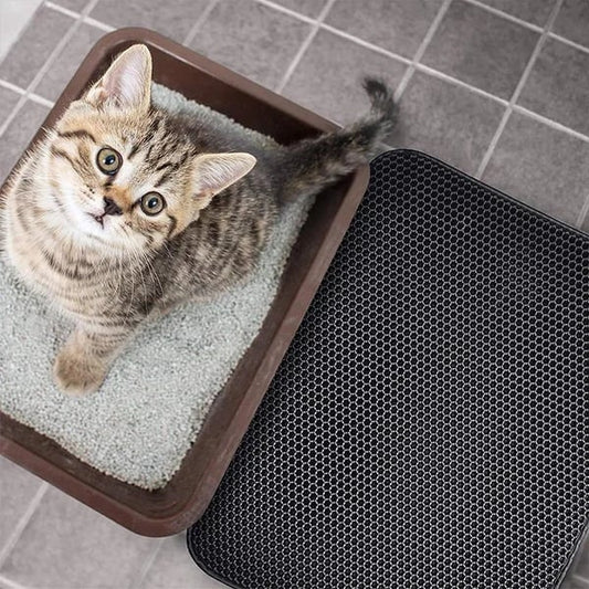StreuChampion — Endlich ein kuschelig sauberes Zuhause ohne Katzenstreu-Chaos!