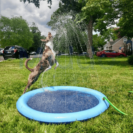 AquaplayPro — Verwandle deinen Garten in eine grenzenlose Wasserparty für glückliche Kids & Tiere!