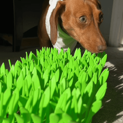 FeedMaster™ Slow Feeder — Beruhigt den Fressrausch und schenkt deinem Liebling entspannten Genuss