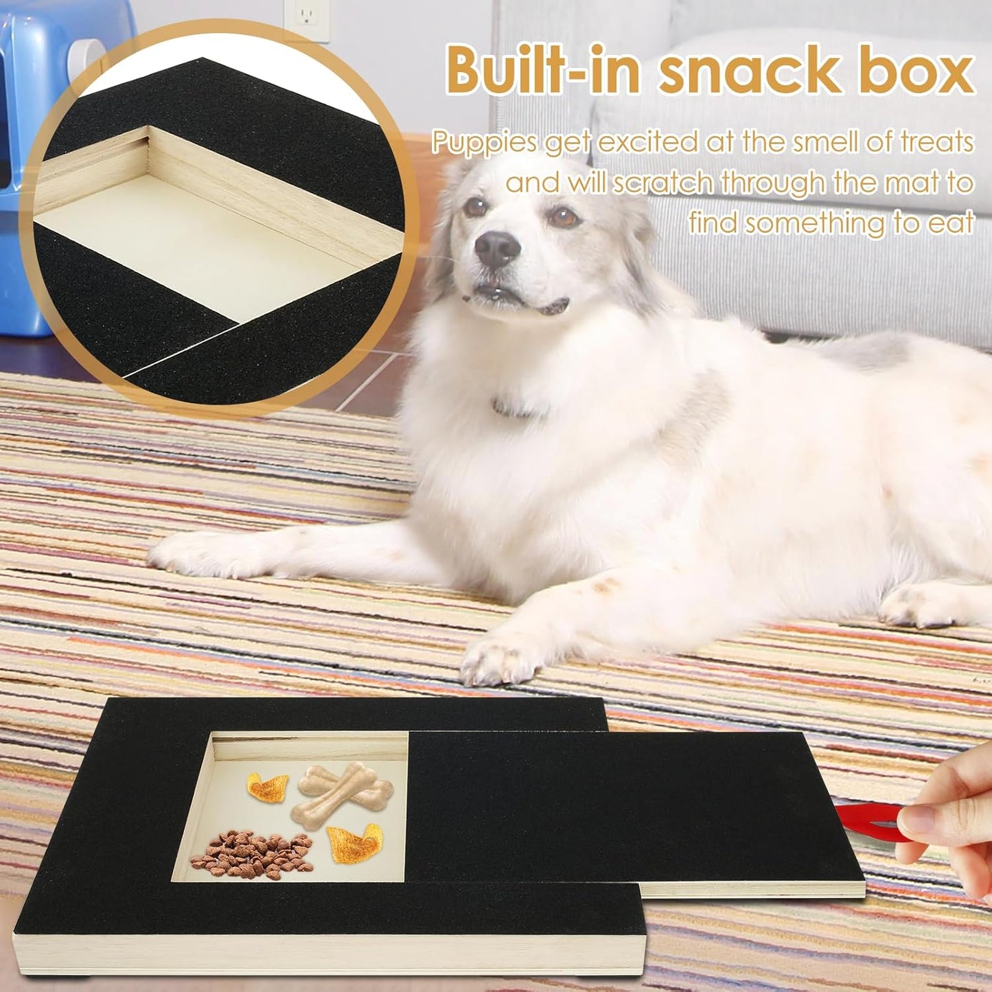 Krallen-Kraftpaket für Hunde — Stressfrei & spielerisch zu gepflegten Pfoten in Rekordzeit!