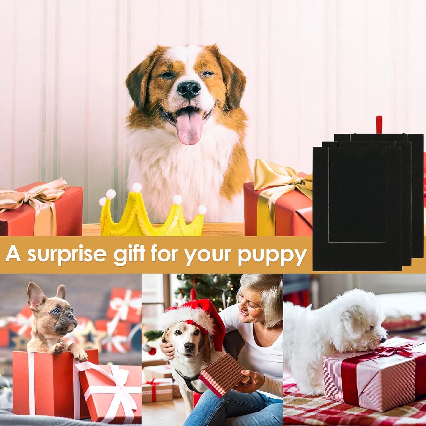 Krallen-Kraftpaket für Hunde — Stressfrei & spielerisch zu gepflegten Pfoten in Rekordzeit!