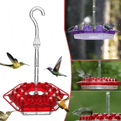 KolibriKracher — Zaubere ein lebendiges Vogelparadies direkt in Deinen Garten!