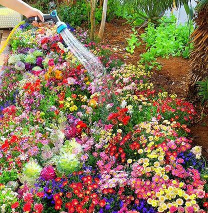 BlütenPracht™ — Ganzjährig farbenfrohes Gartenparadies