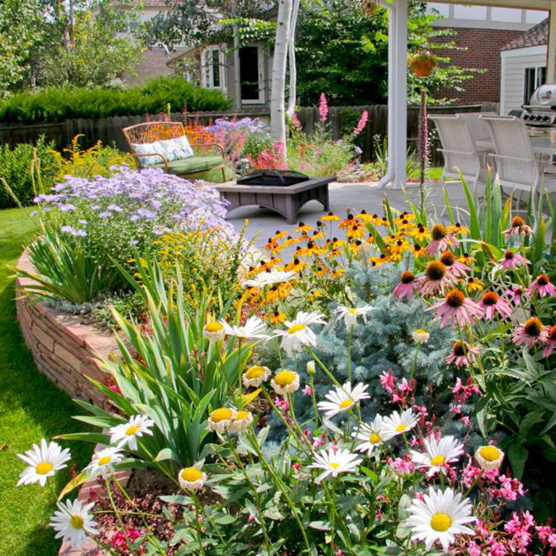 BlütenPracht™ — Ganzjährig farbenfrohes Gartenparadies