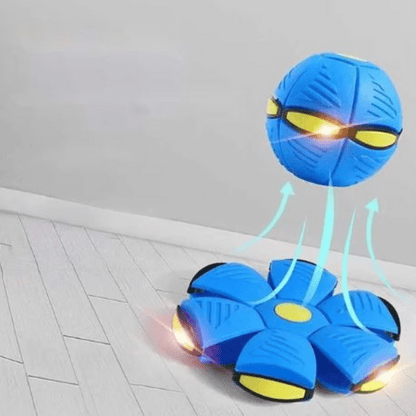 Rasante FidoJagdlet — Entfache pure Spielfreude und Power in jedem Hundeblick!