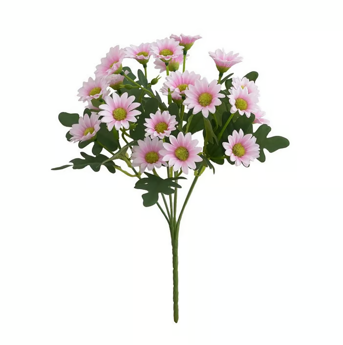 AutumnBlaze — Dein sorgenfreier Gartenhit mit Farben, die jeden Herbst verzaubern!