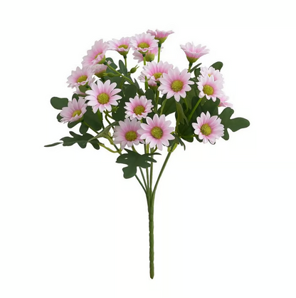 AutumnBlaze — Dein sorgenfreier Gartenhit mit Farben, die jeden Herbst verzaubern!